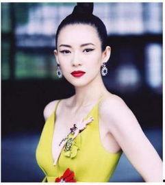 娱乐圈爆料章子怡,真相与传闻的交织